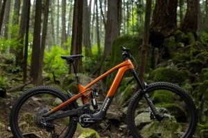 Trek Slash +